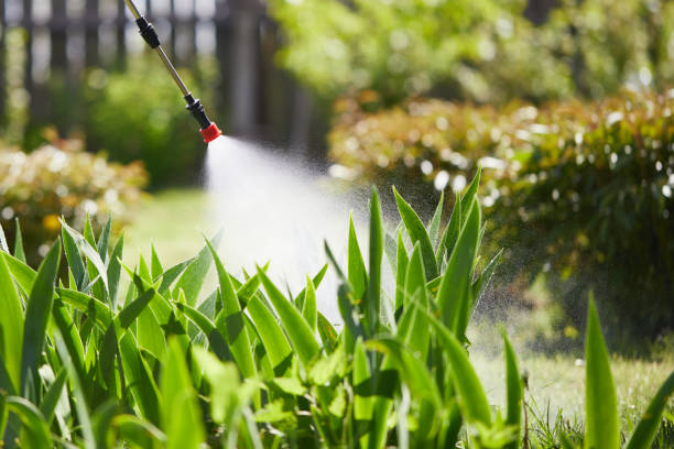24/7 Emergency Mosquito Control experts in South Haven, IN